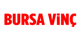 bursa vinc kiralam logo